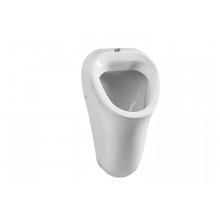 Писсуар VitrA Arkitekt 6201B003-0199 подвесной, с внутренним подводом воды