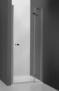 Душевая дверь Roltechnik Elegant Line GDNP1/1000 правая