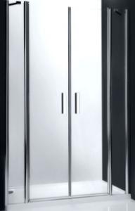 Душевая дверь сдвоенная Roltechnik Tower Line TDN2/1200 профиль brillant