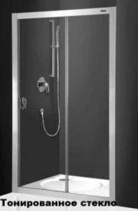 Душевая дверь Roltechnik Exclusive ECD2/1200 профиль silver/стекло rauch